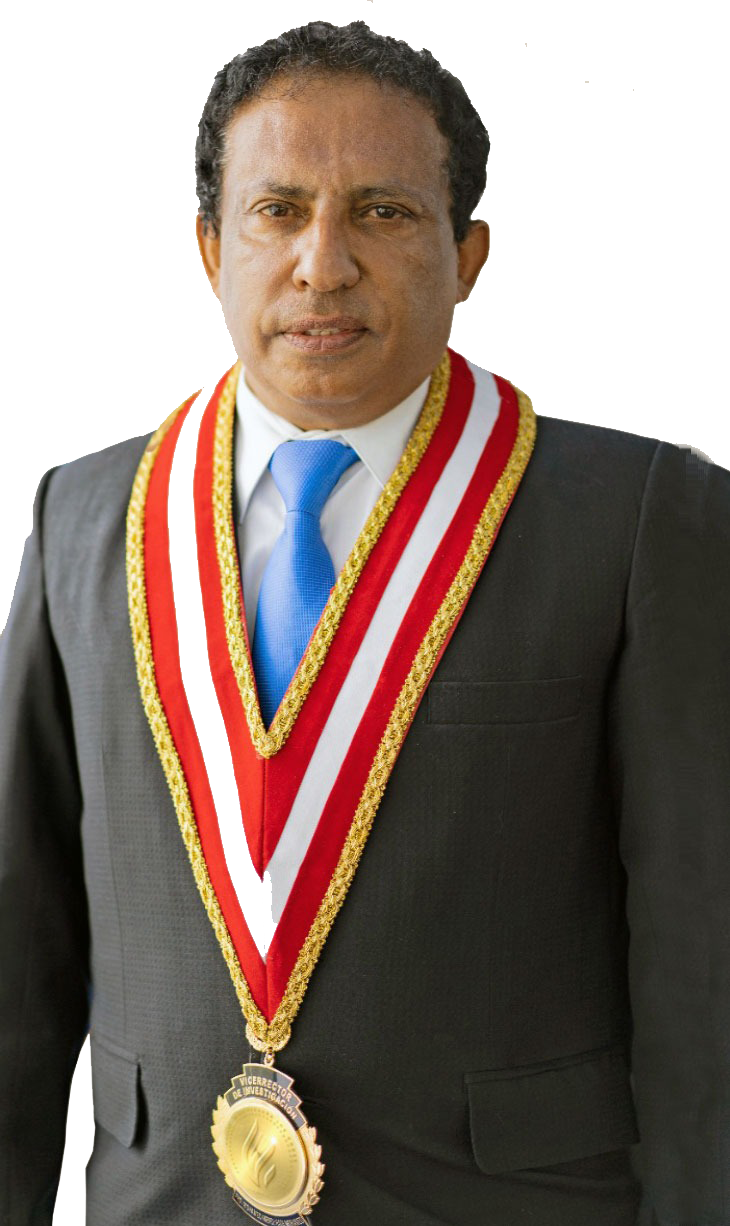 Vicerrector de Investigación